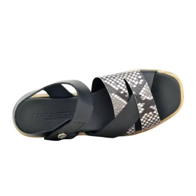 22-510 Serpiente Negro